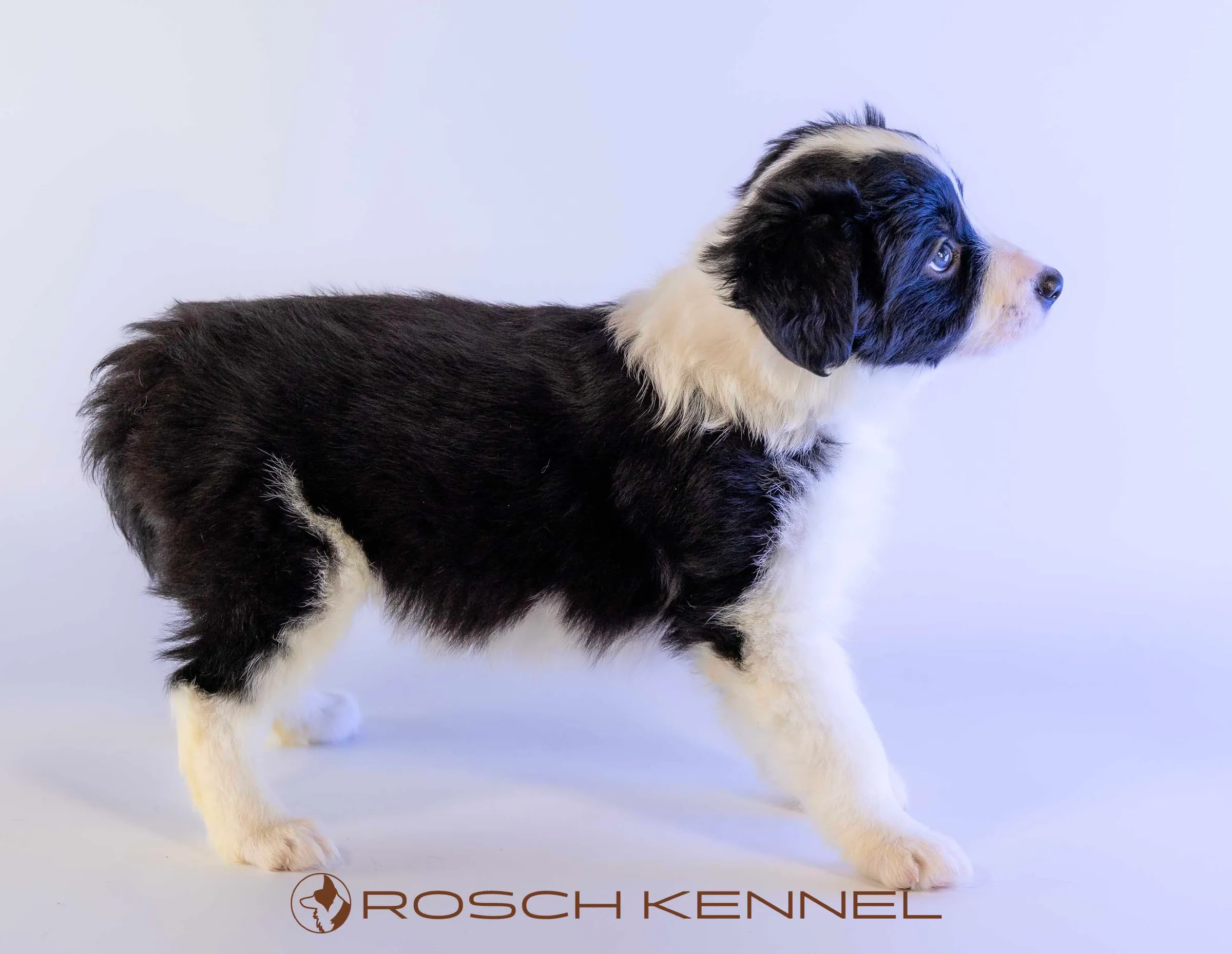 CNE305CPR - Photo 10