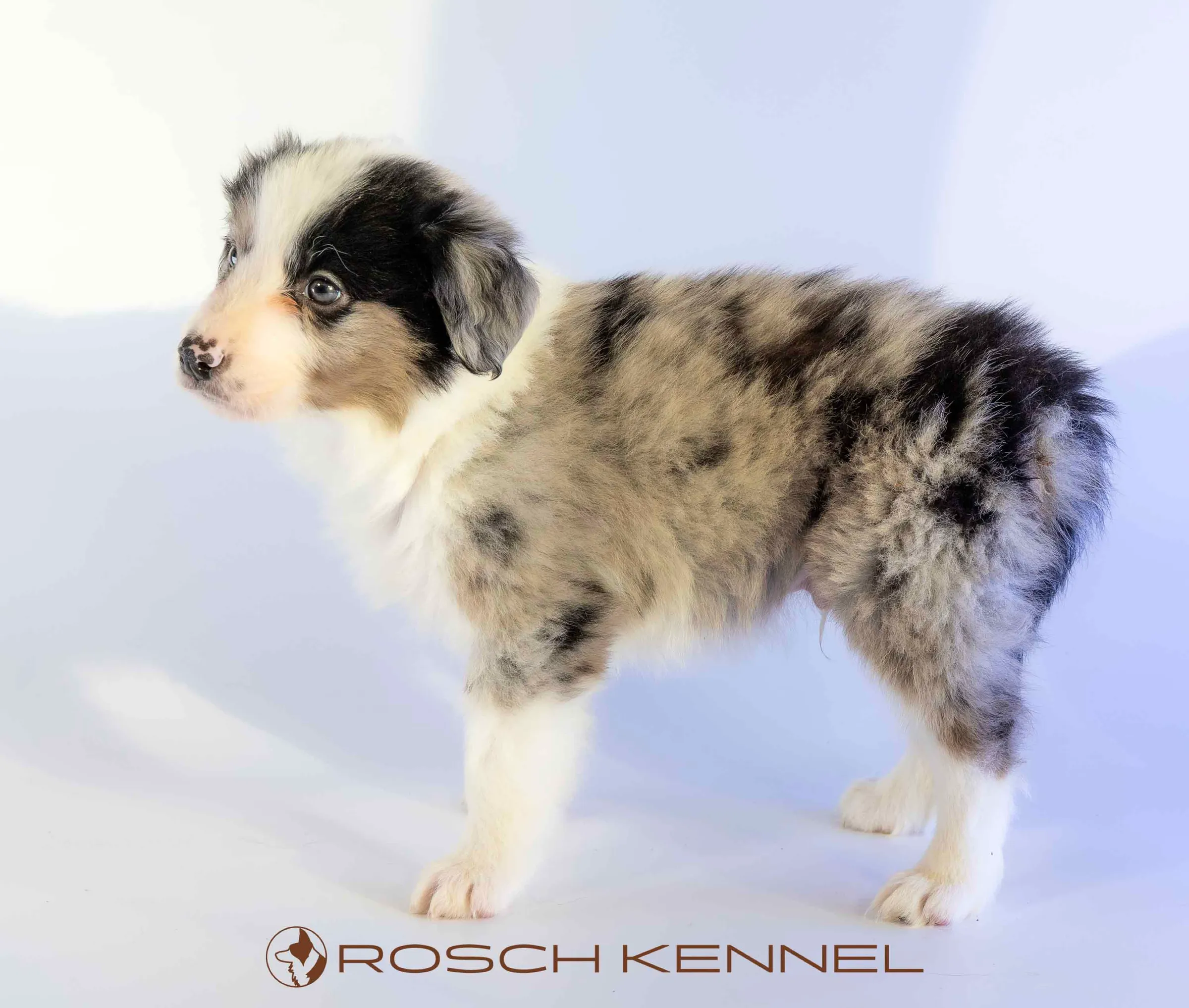 CNE302CPR - Photo 10