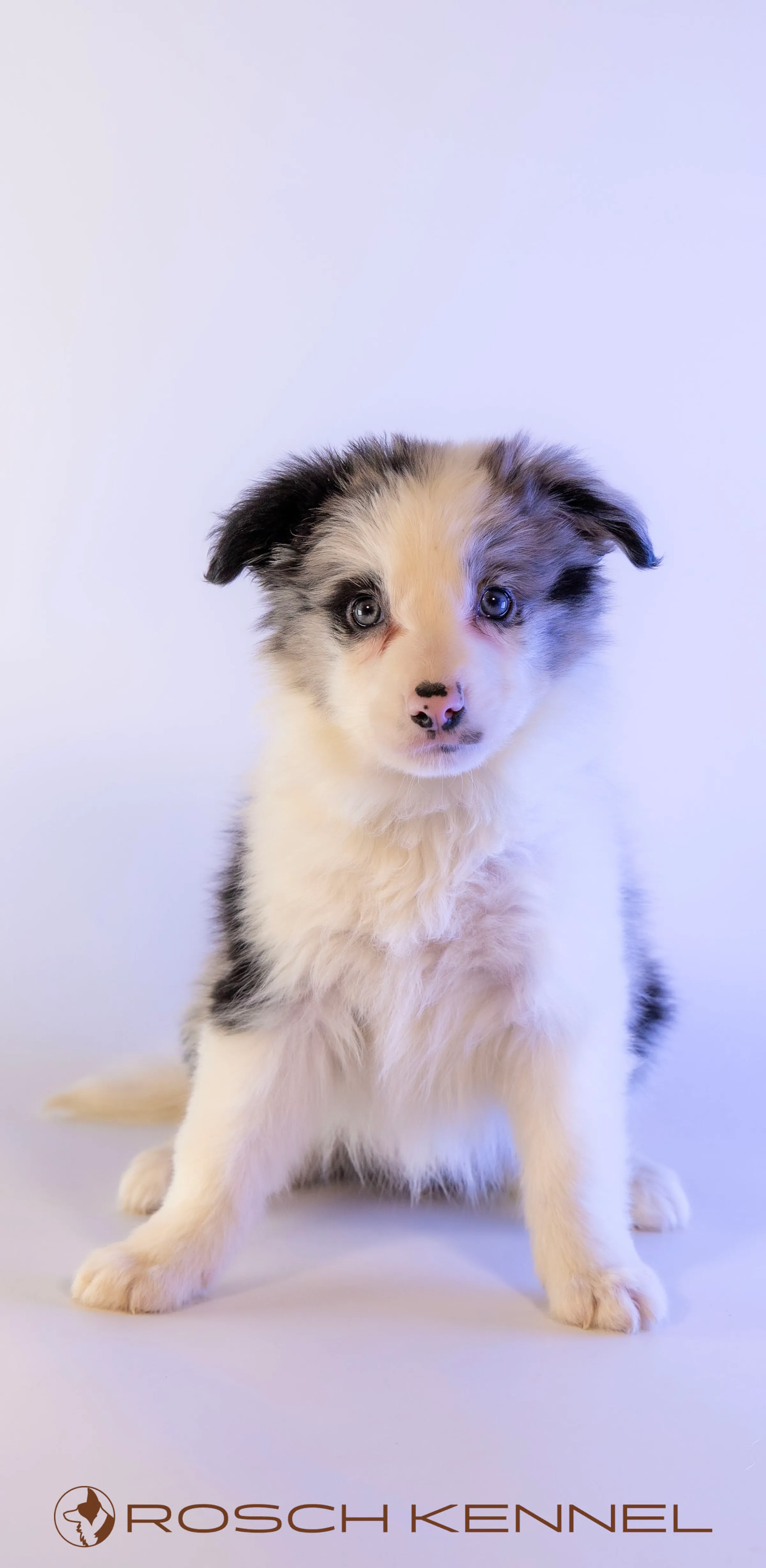 CNE304CPR - Photo 10