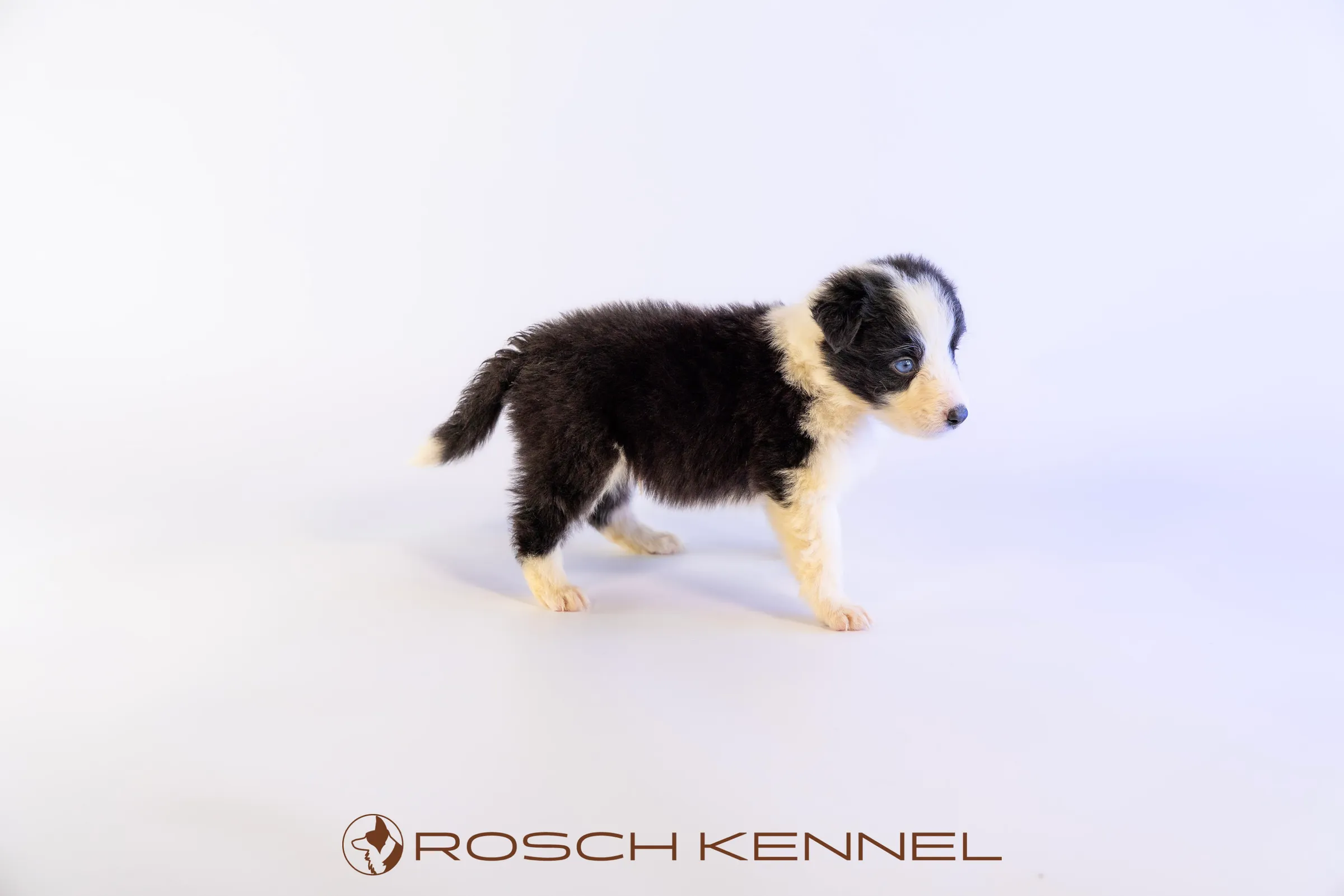 RSE302CPR - Photo 10