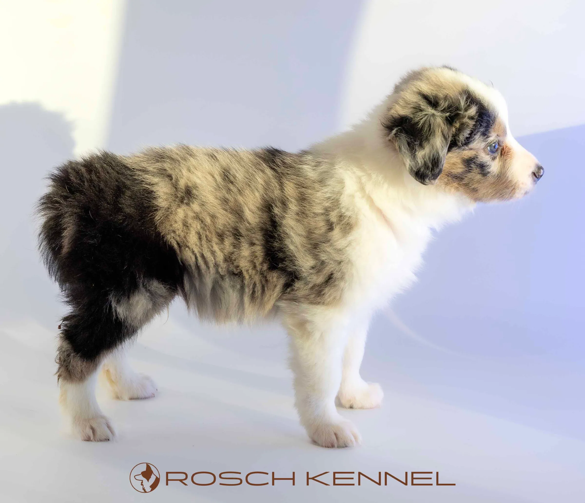 CNE302CPR - Photo 11