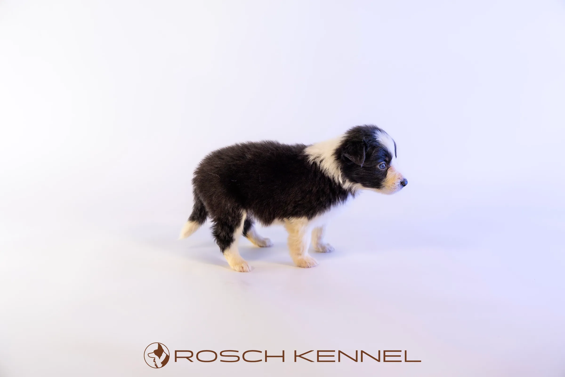 RSE306CPR - Photo 11