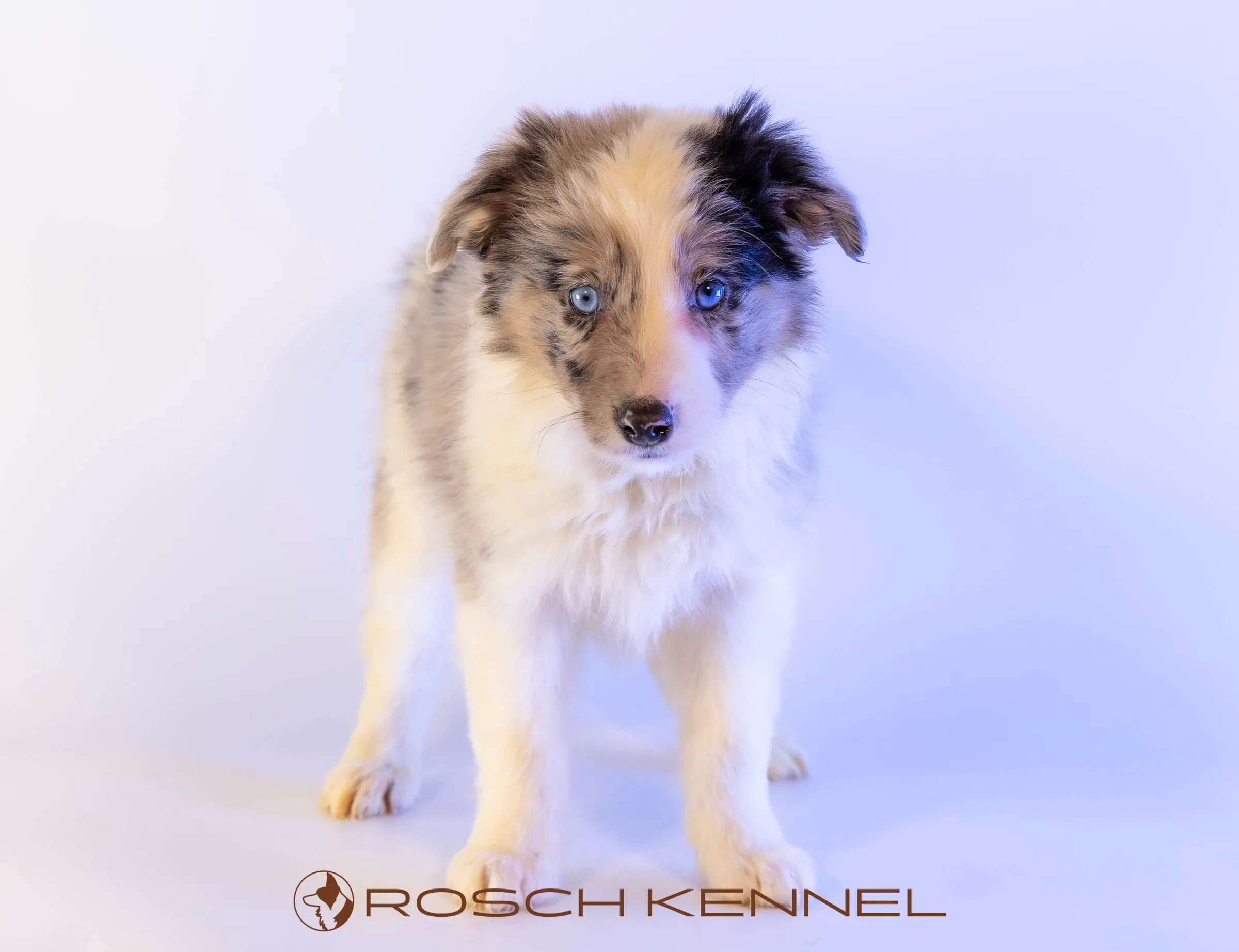 CNE303CPR - Photo 12