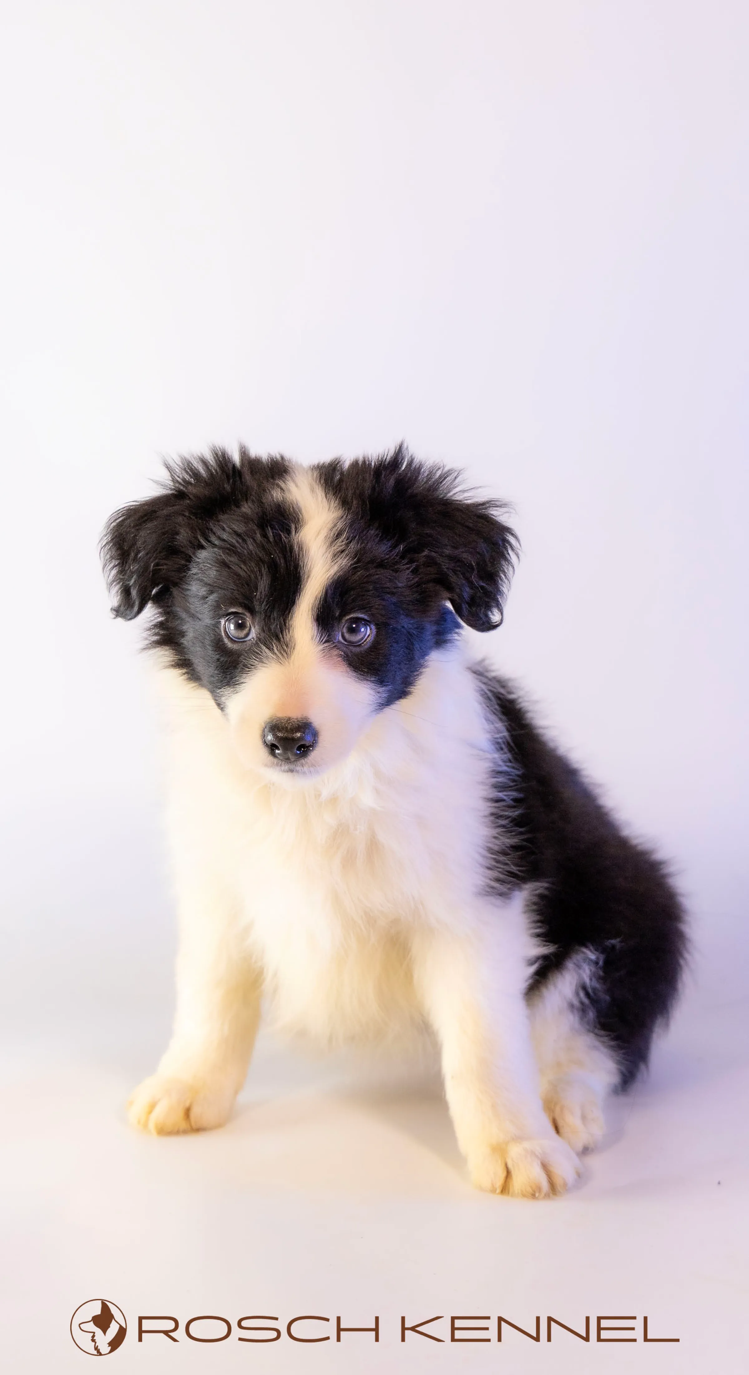 CNE305CPR - Photo 12