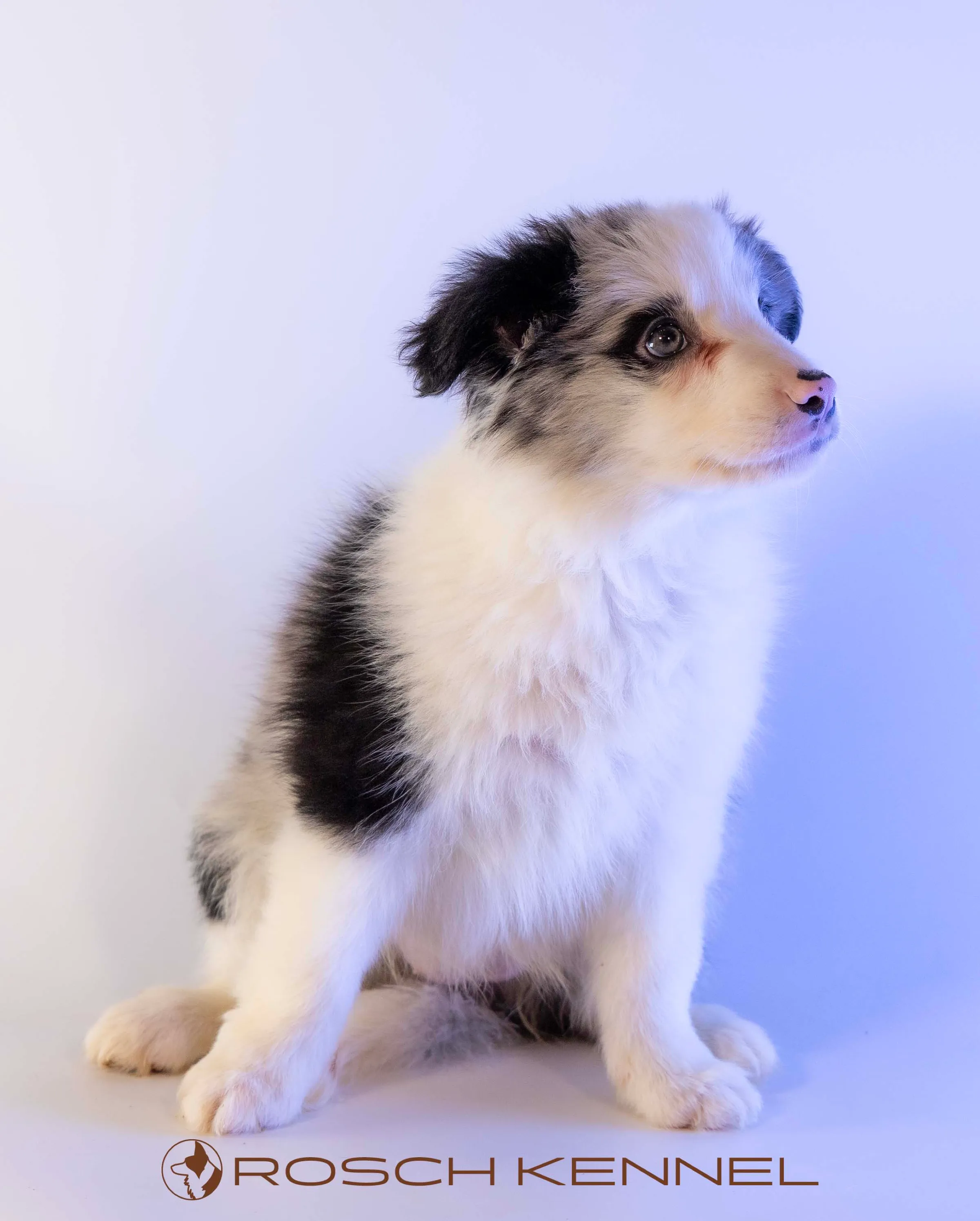 CNE304CPR - Photo 12