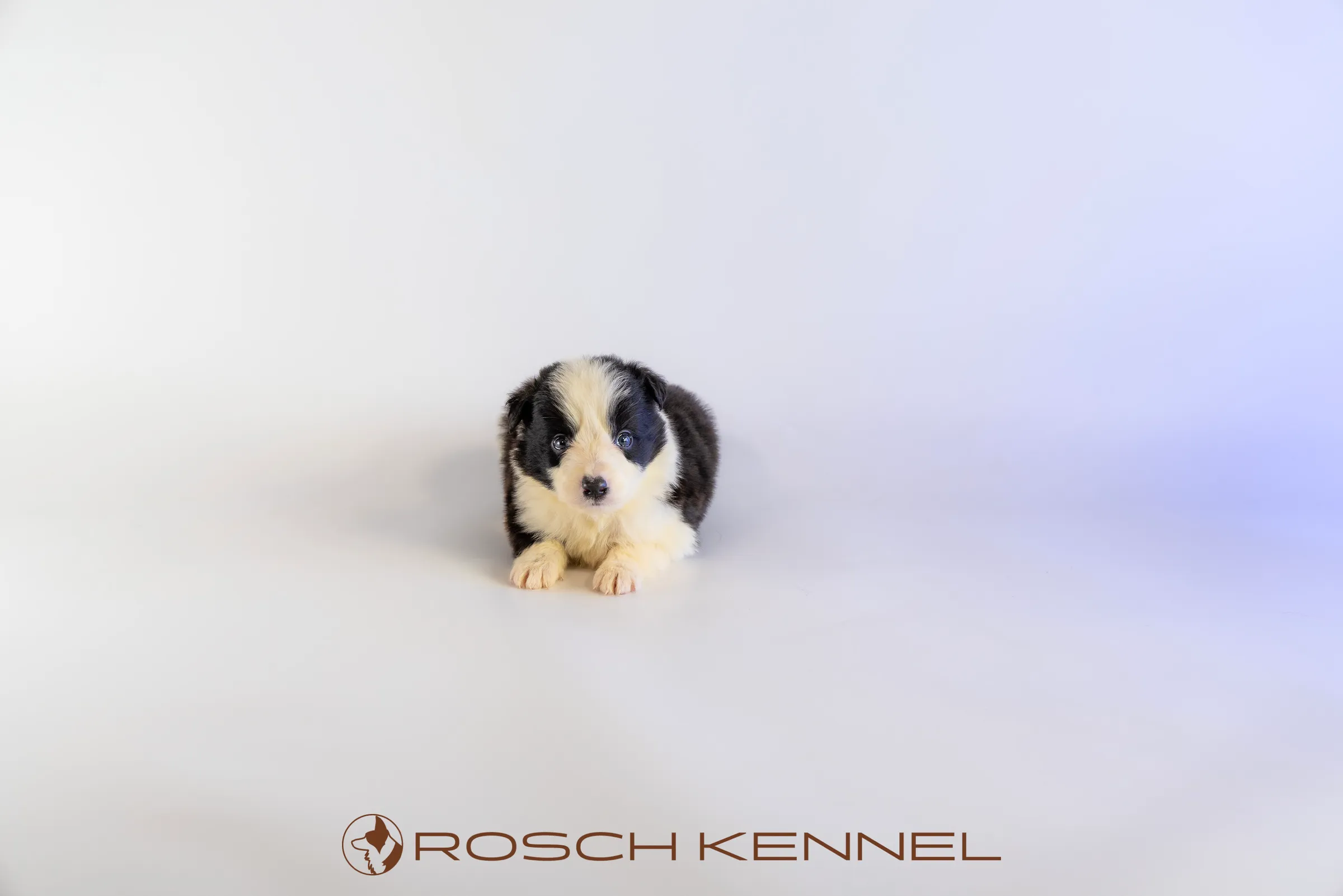 RSE304CPR - Photo 12