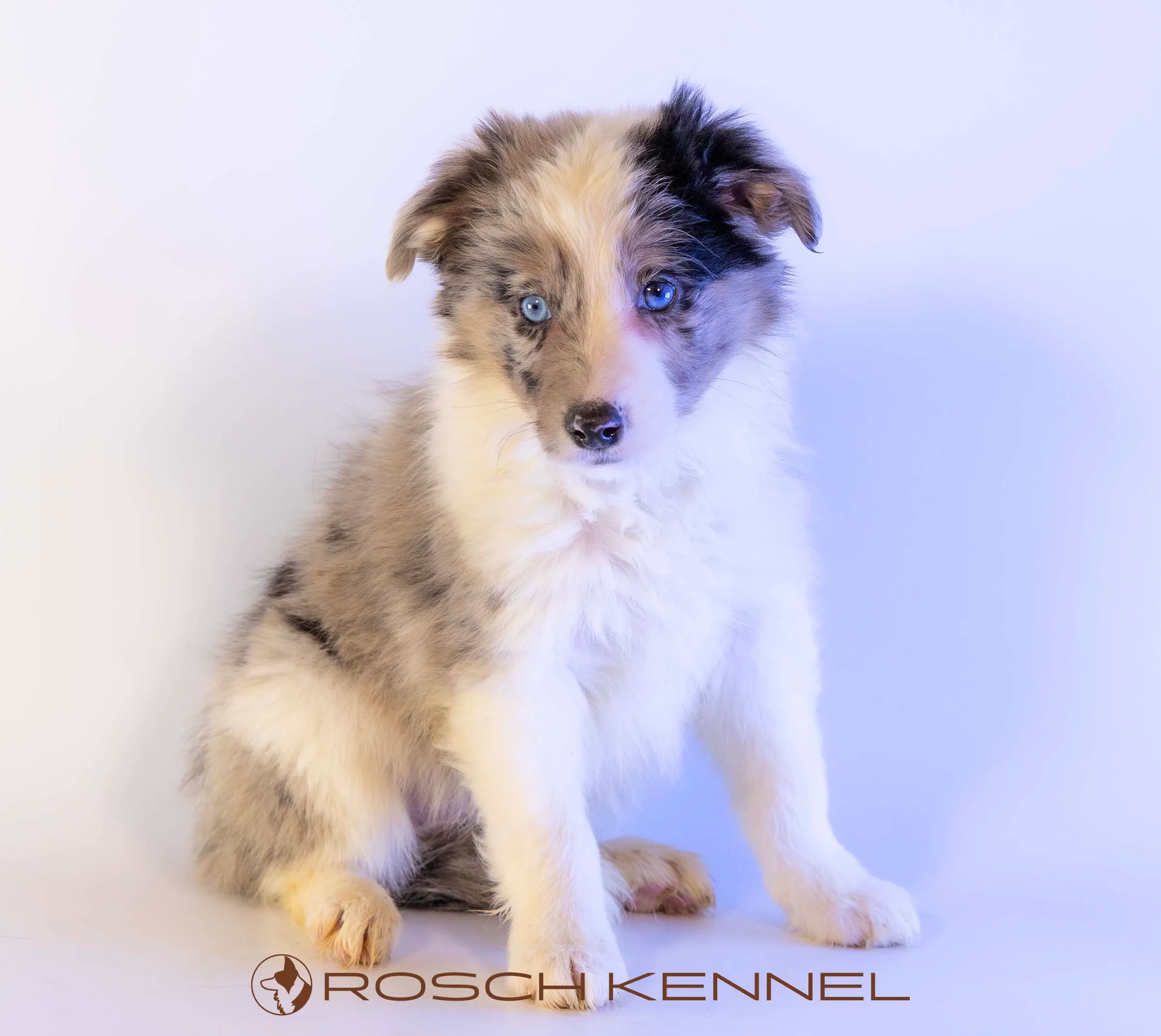 CNE303CPR - Photo 13