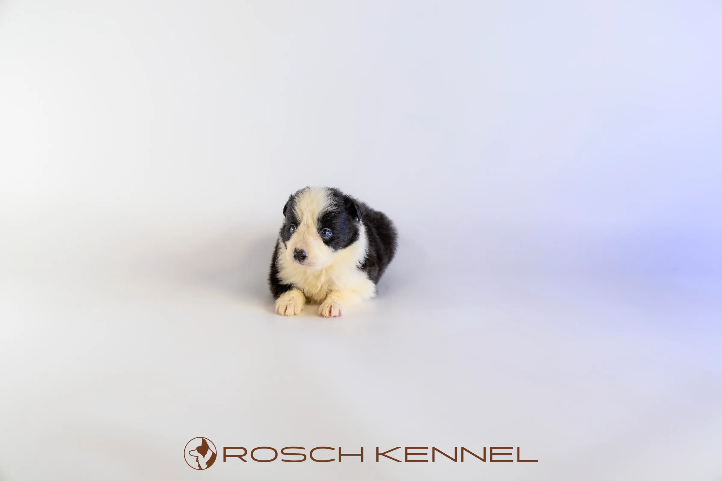 RSE304CPR - Photo 13