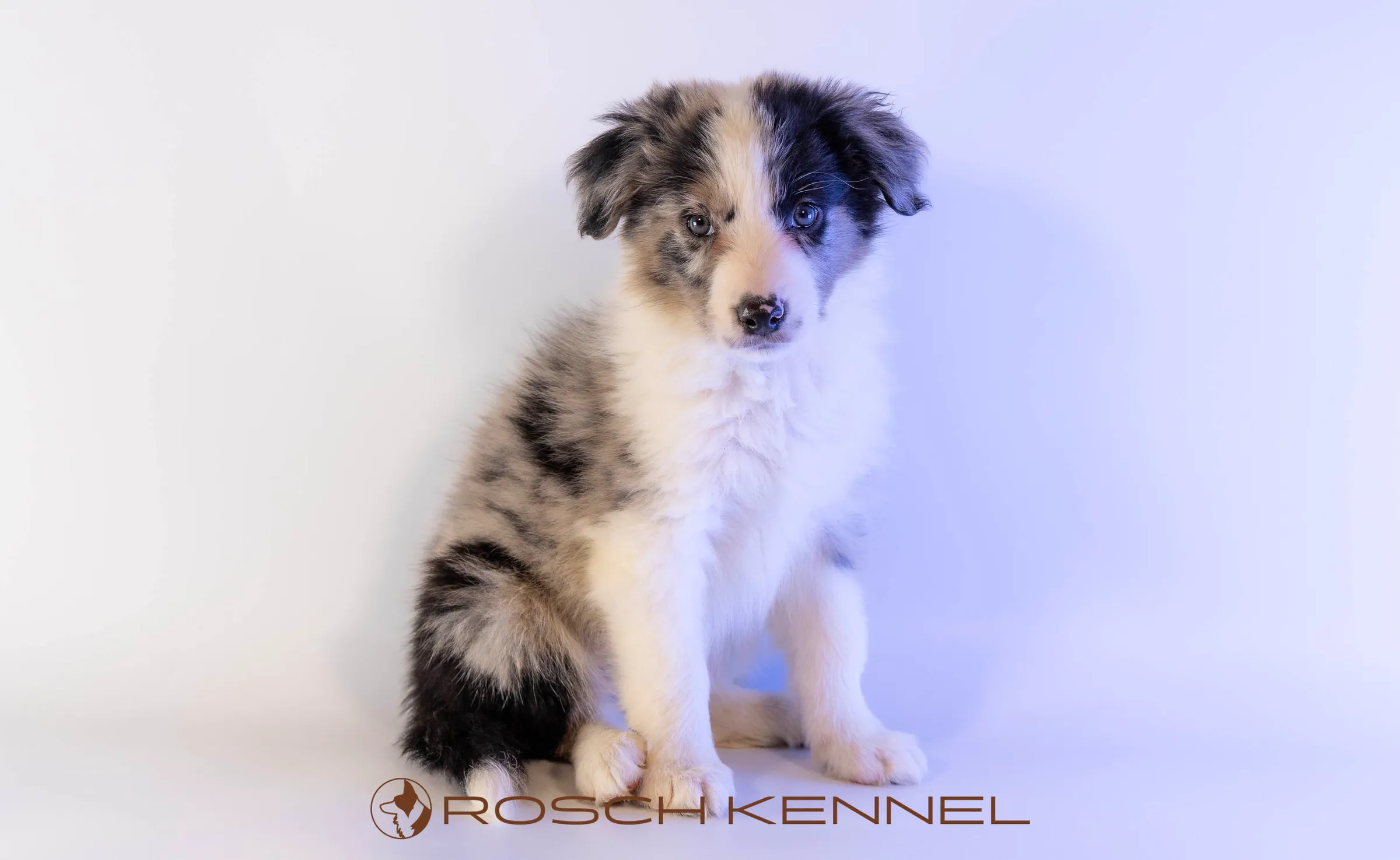 CNE302CPR - Photo 14