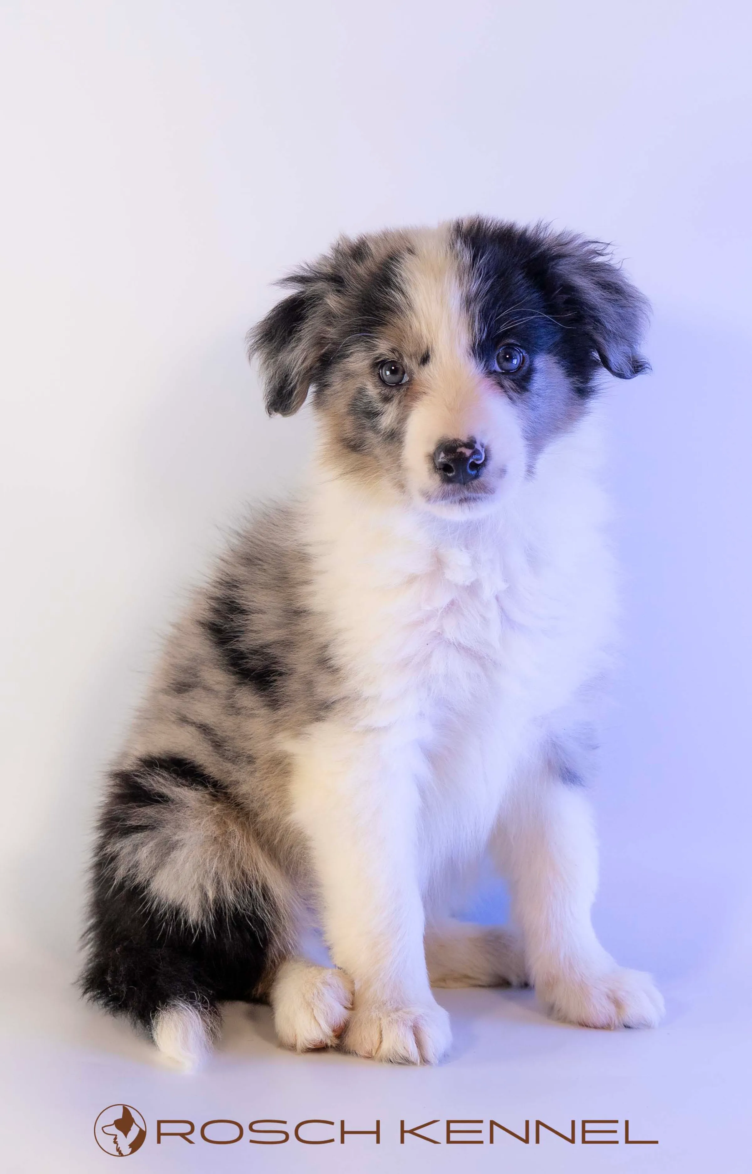 CNE302CPR - Photo 15