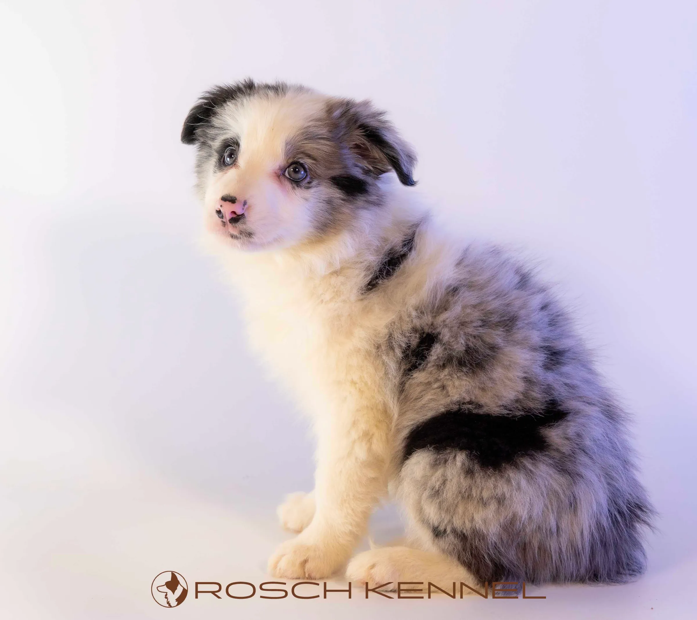 CNE304CPR - Photo 15