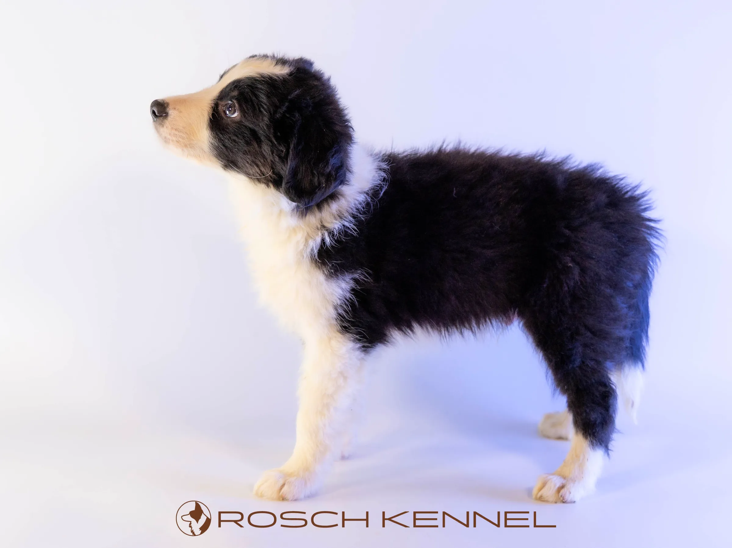 CNE301CPR - Photo 15