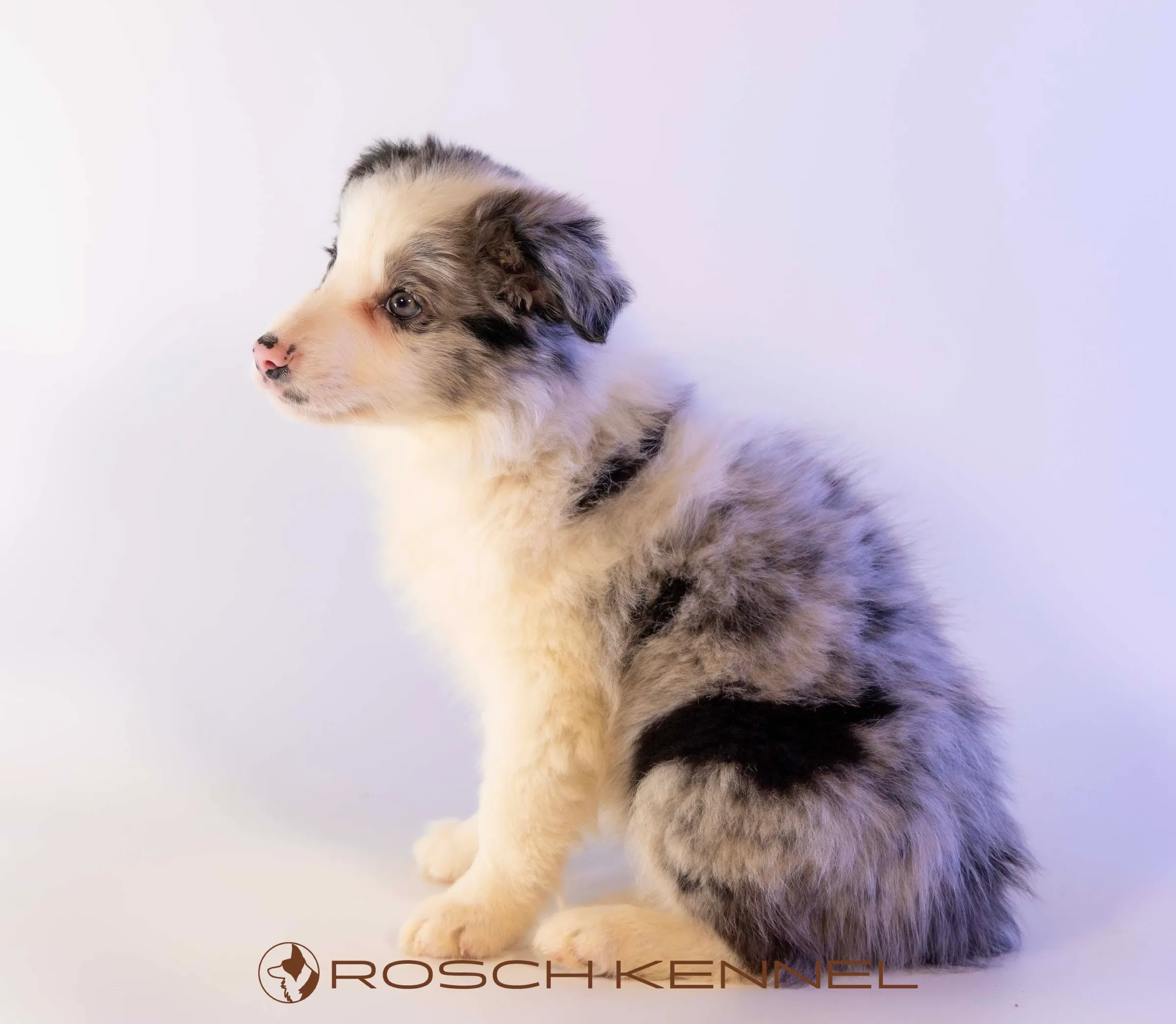 CNE304CPR - Photo 16