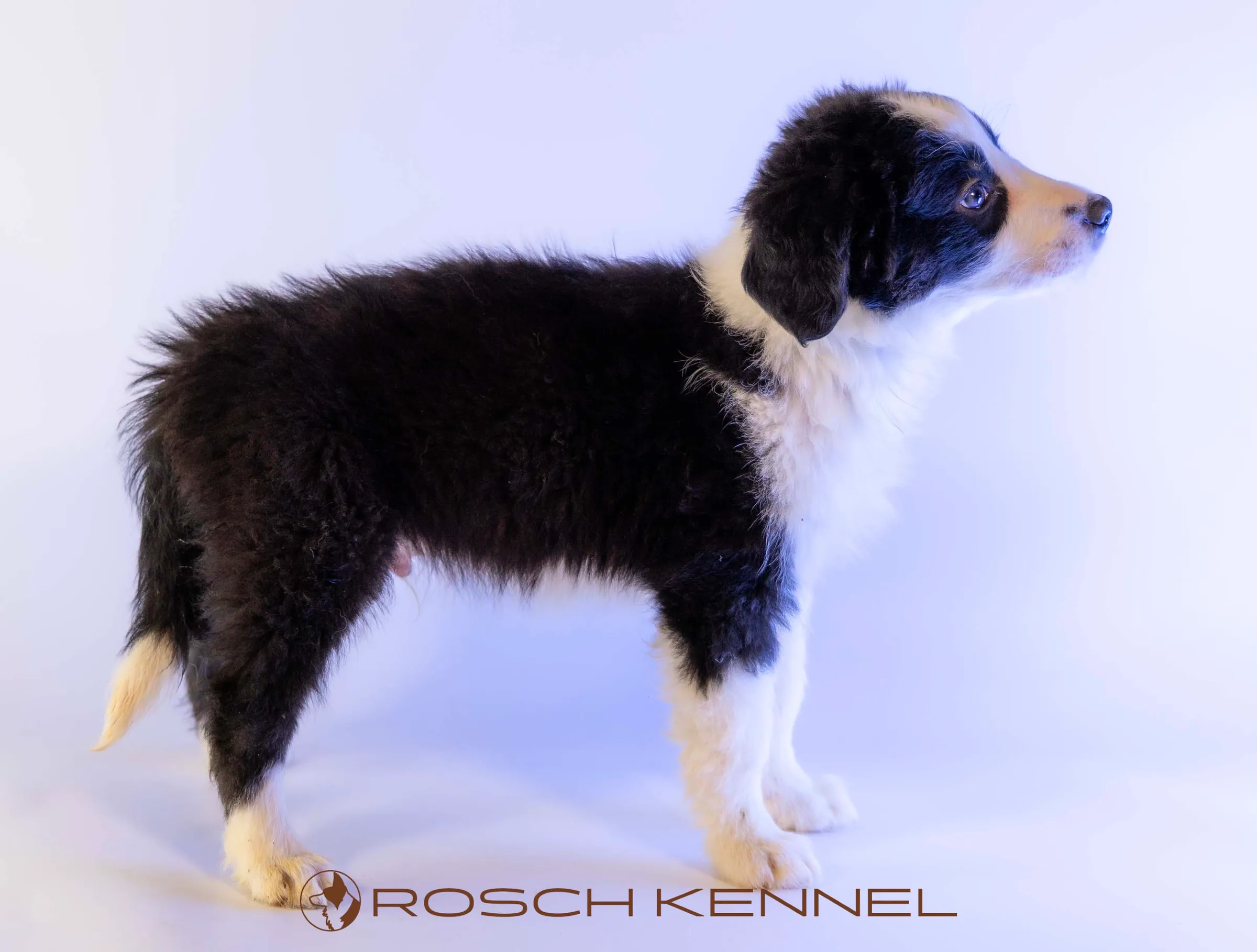 CNE301CPR - Photo 16