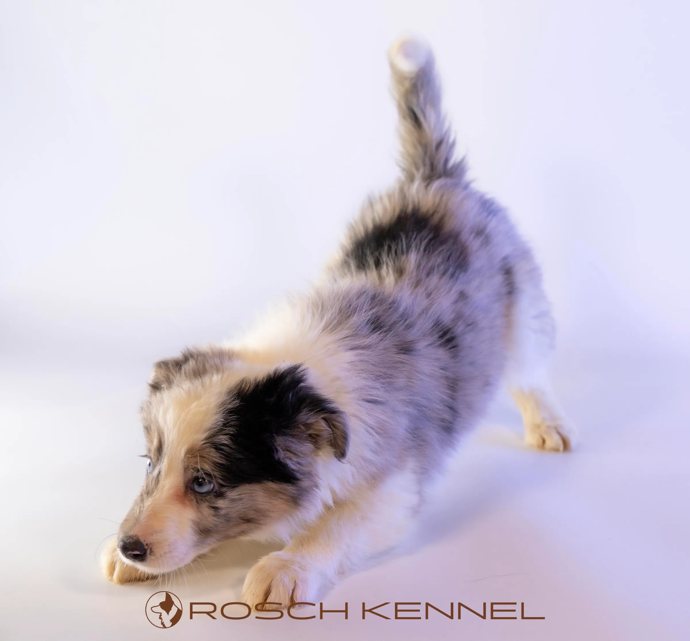 CNE303CPR - Photo 16