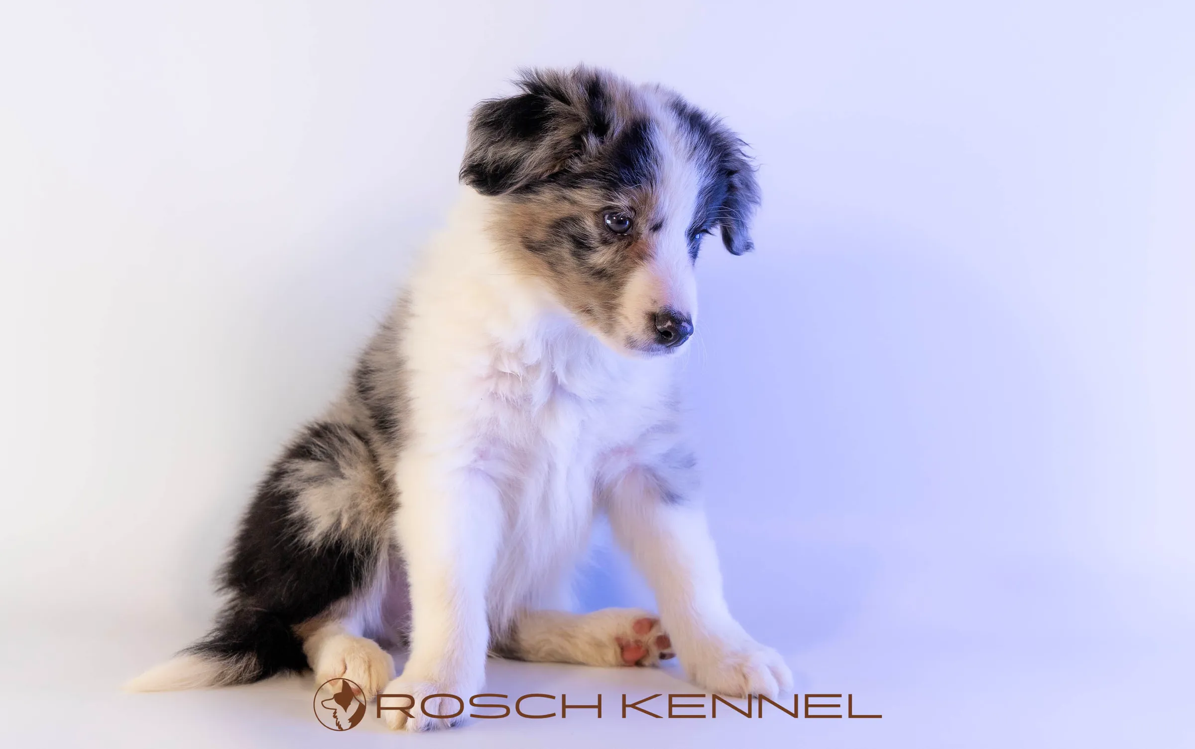 CNE302CPR - Photo 16