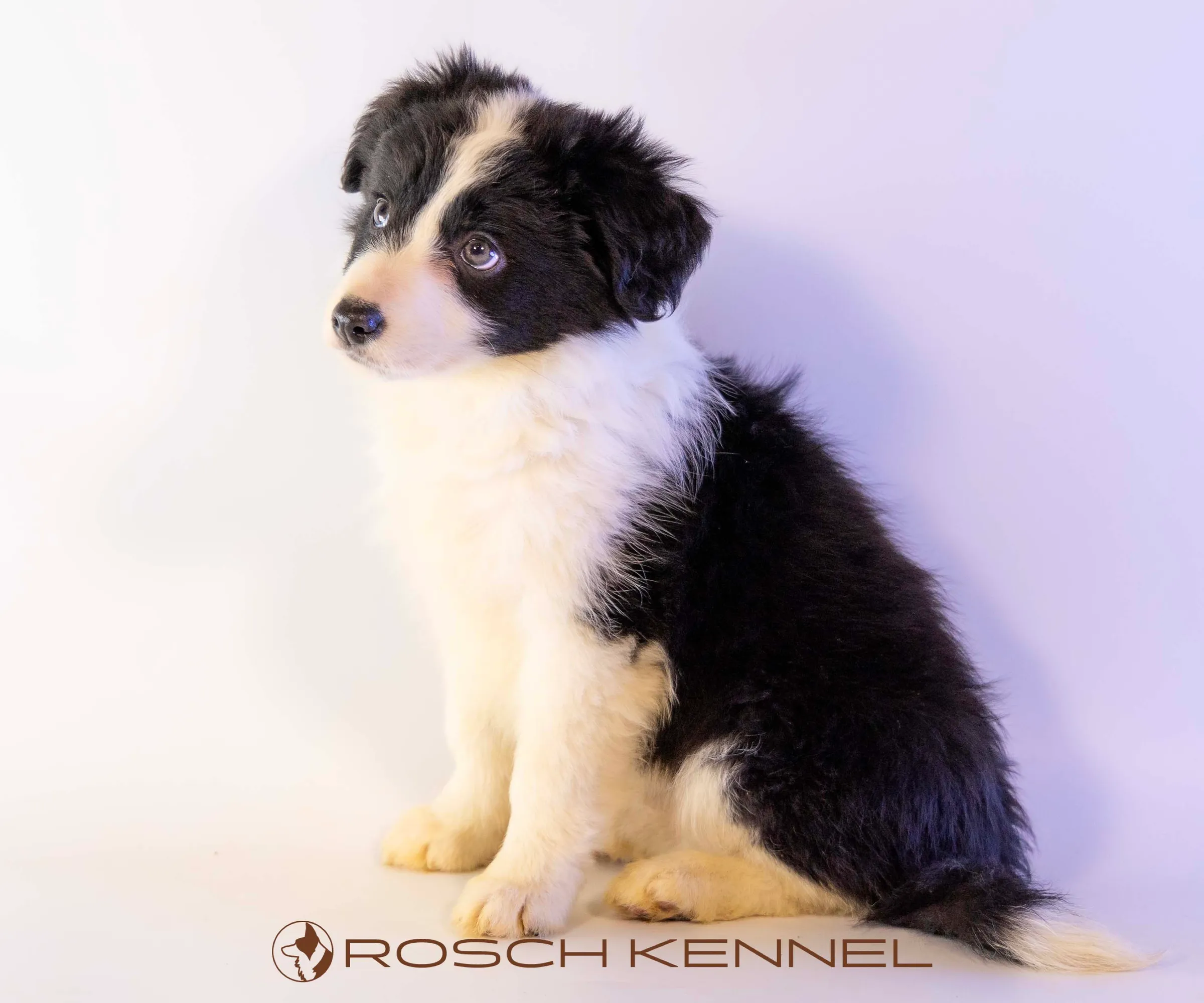 CNE305CPR - Photo 18