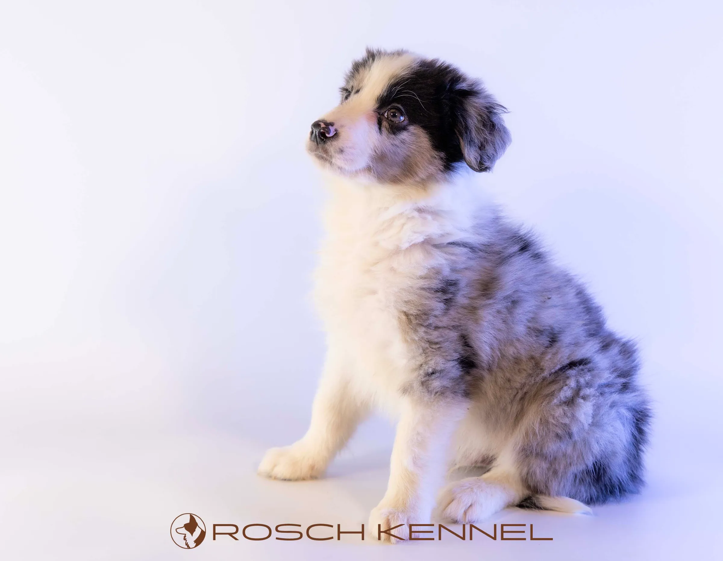 CNE302CPR - Photo 18