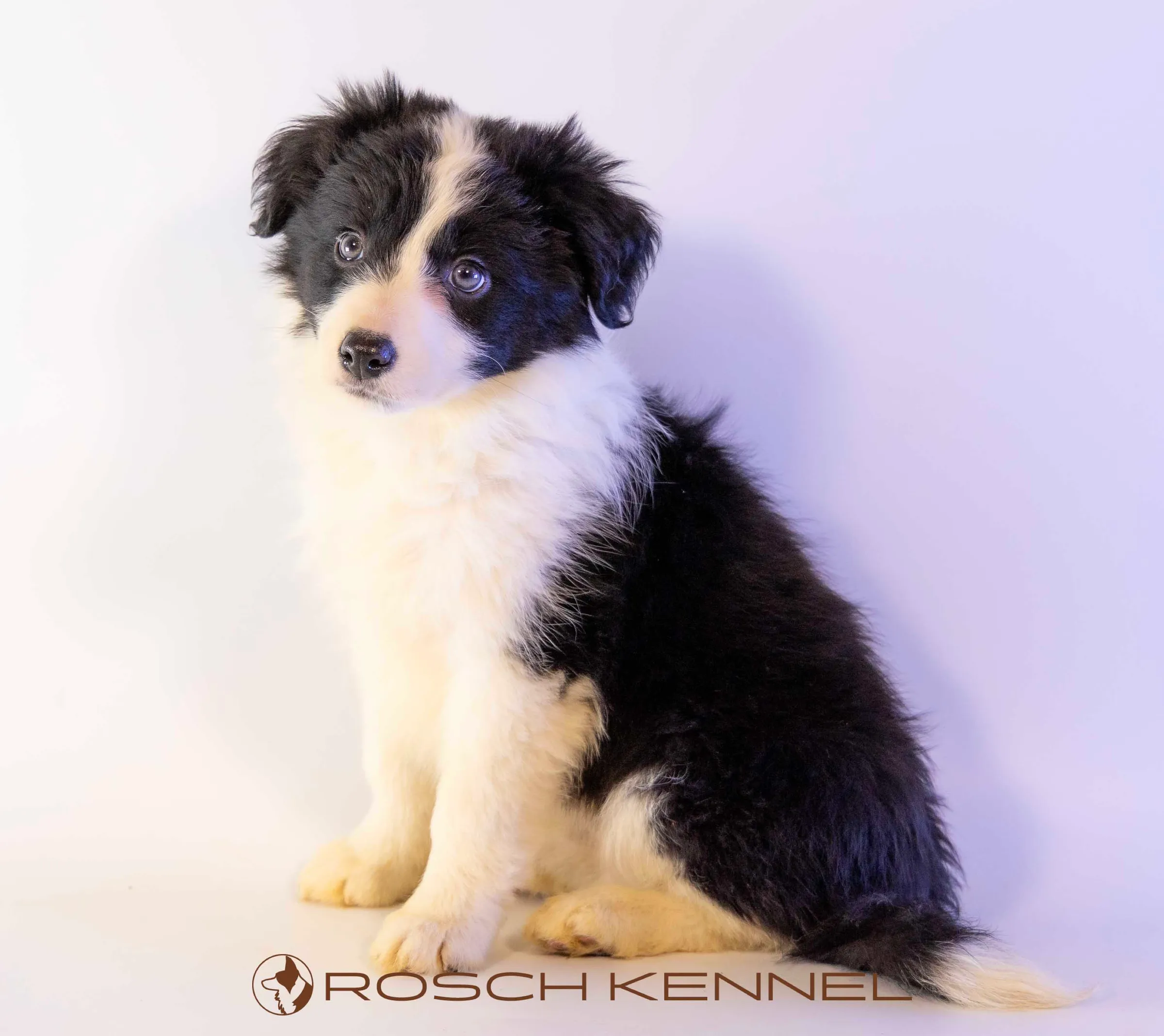 CNE305CPR - Photo 19