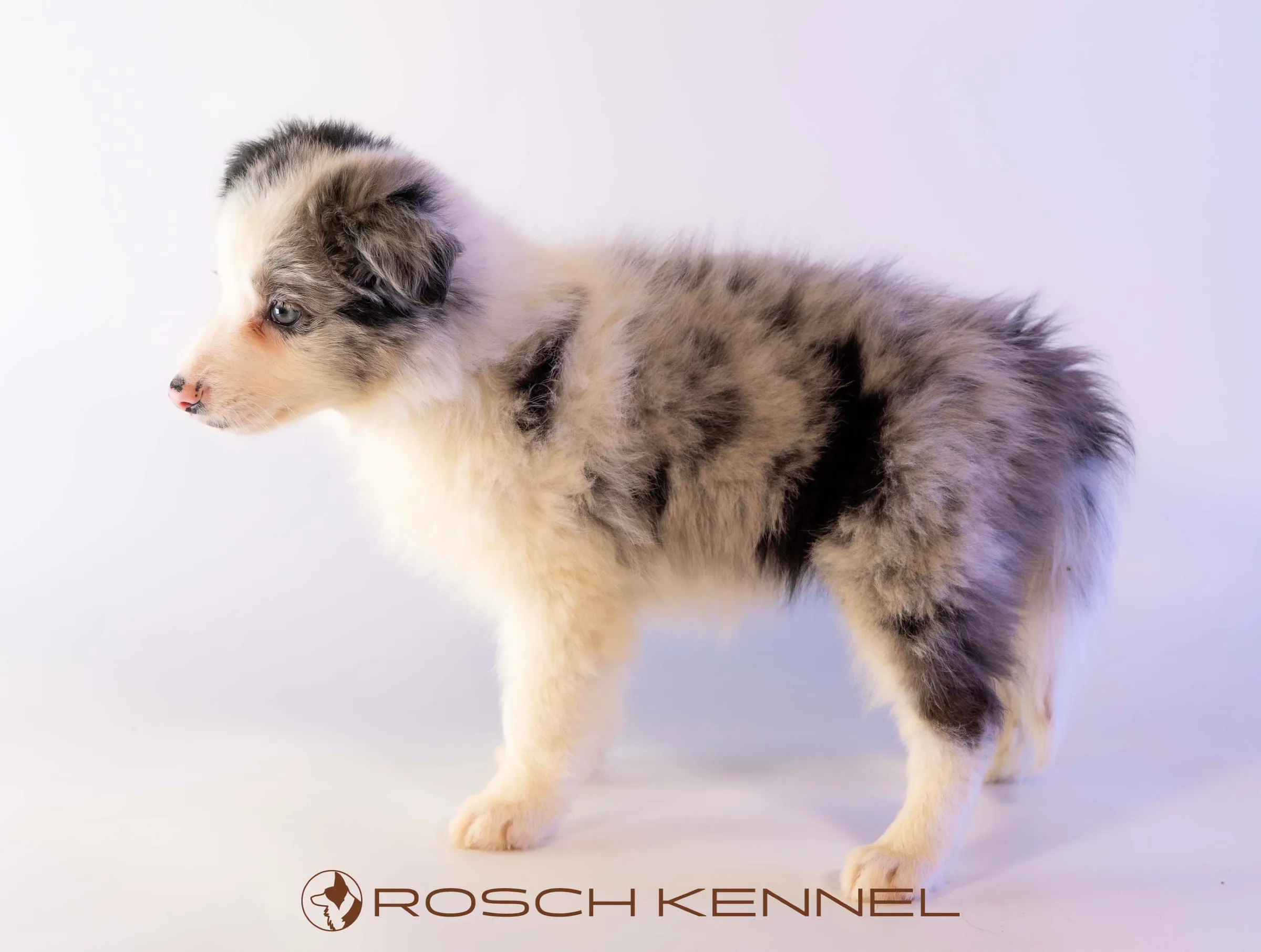 CNE304CPR - Photo 19