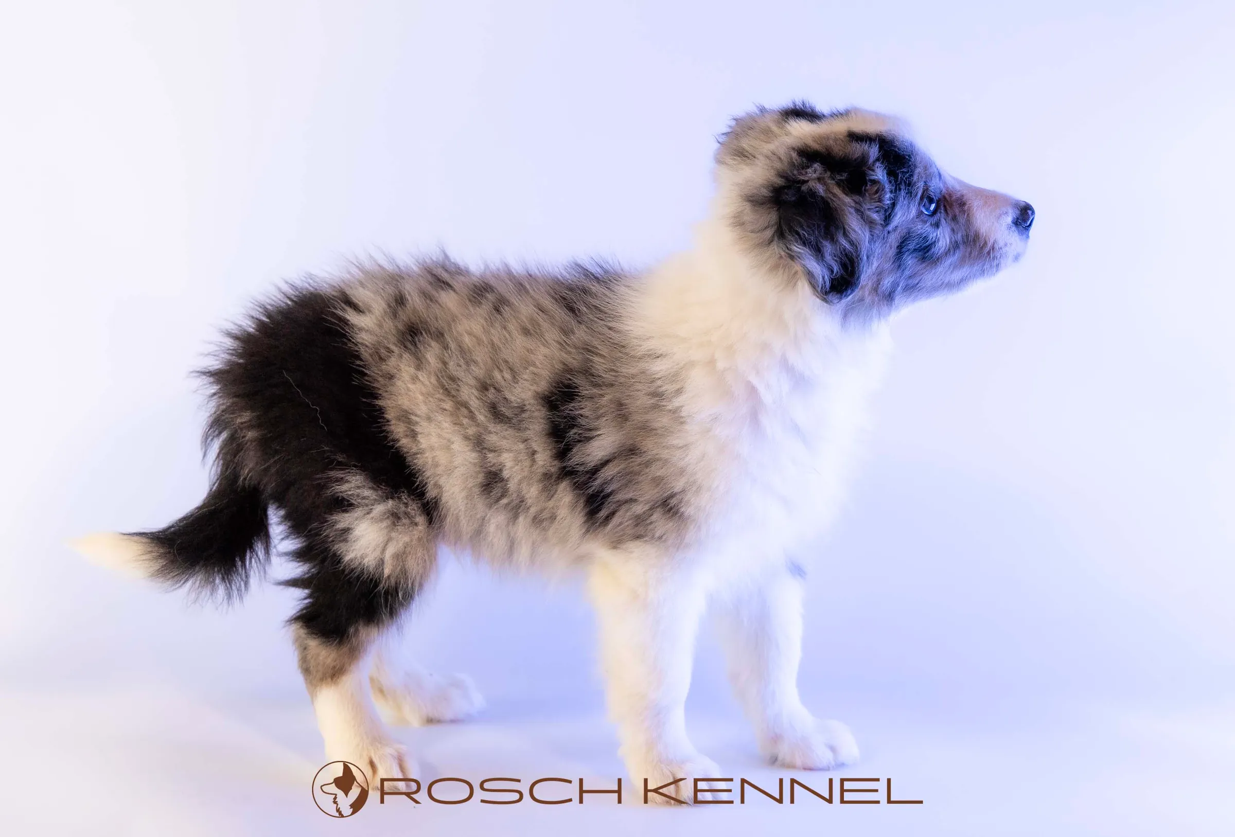 CNE302CPR - Photo 20