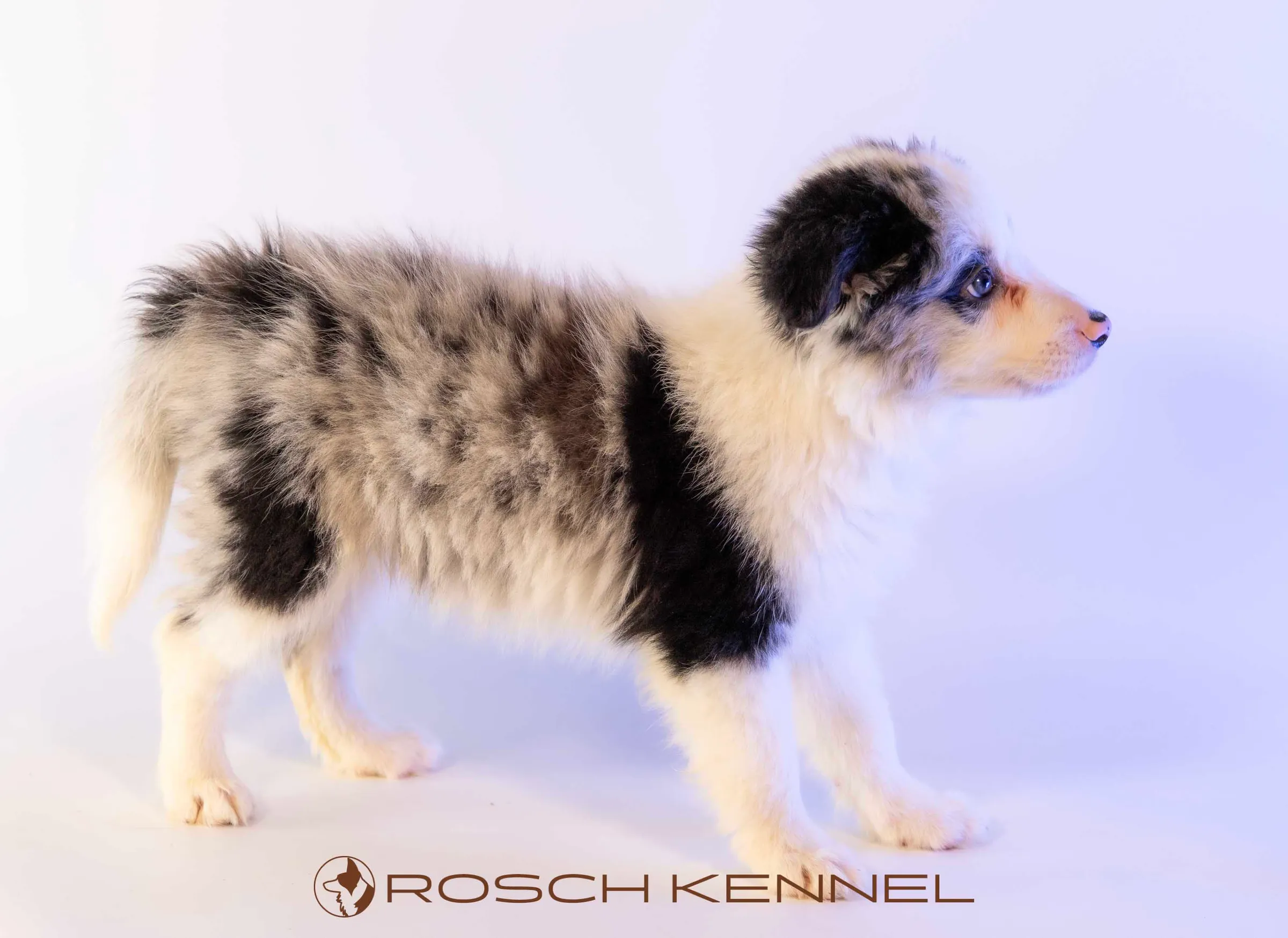 CNE304CPR - Photo 21